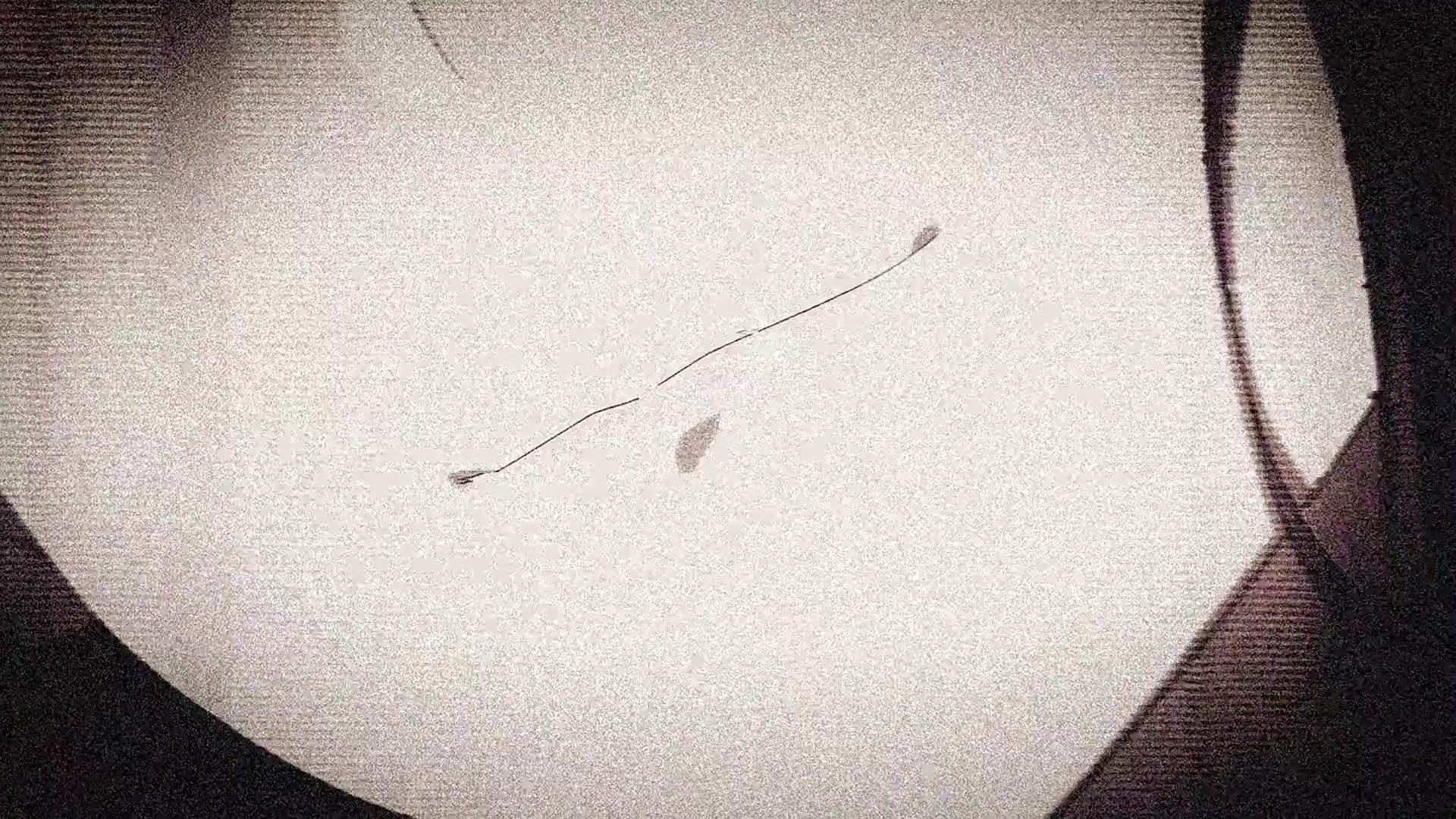 [Tsukyio Editing Resources] Oshi No Ko Season 1 (Episode 10) Raw Clips (236) (tsukyio.com).mp4